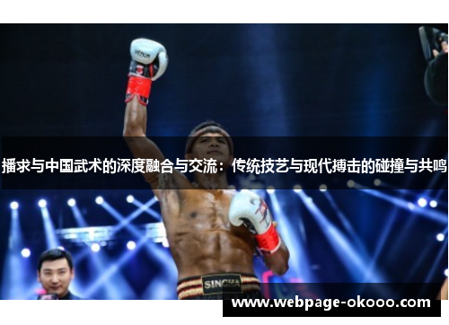 播求与中国武术的深度融合与交流：传统技艺与现代搏击的碰撞与共鸣